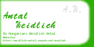 antal weidlich business card